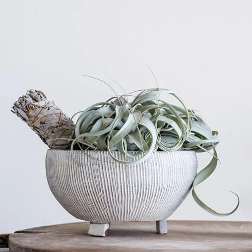 Small Distressed Cream Footed Terracotta Planter with Fluted Texture