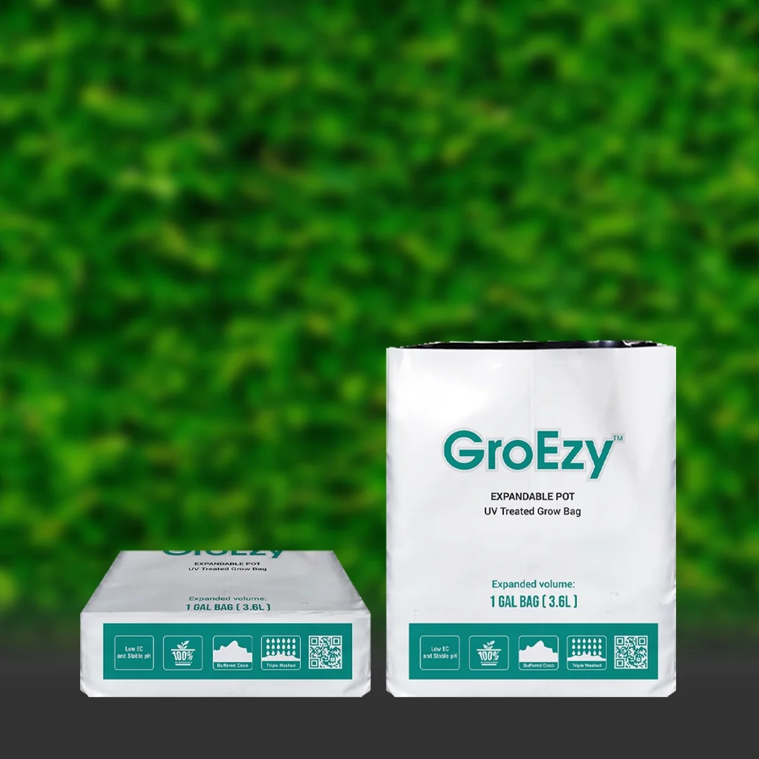 GroEzy™ 1 Gallon Expandable pot in UV -treated Grow Bag (80 Units)