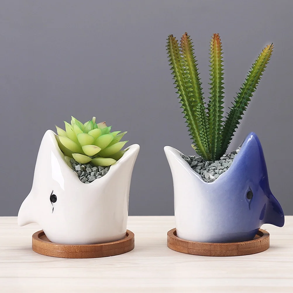 Gongxipen Cartoon Succulent Plant Pots Gardening Flowerpot Unique Ceramic Planter
