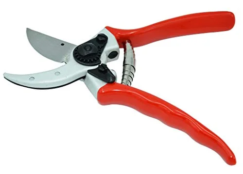 Zenport QZ402 Classic Professional Pruner, 1-Inch Cut, 8.5-Inch Long