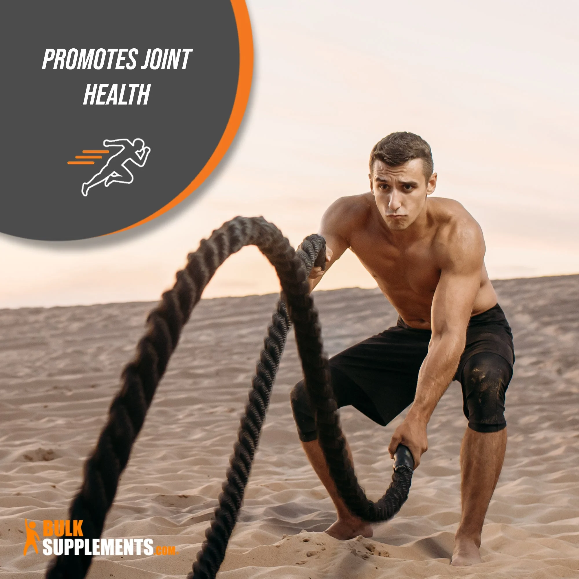 BulkSupplements.com White Willow Bark Extract Capsules (365 Veg Capsules - 365 Servings)