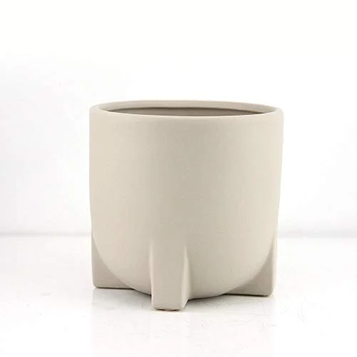 Dylan Ceramic Pot for Plant | Cute Ceramic Planter (6