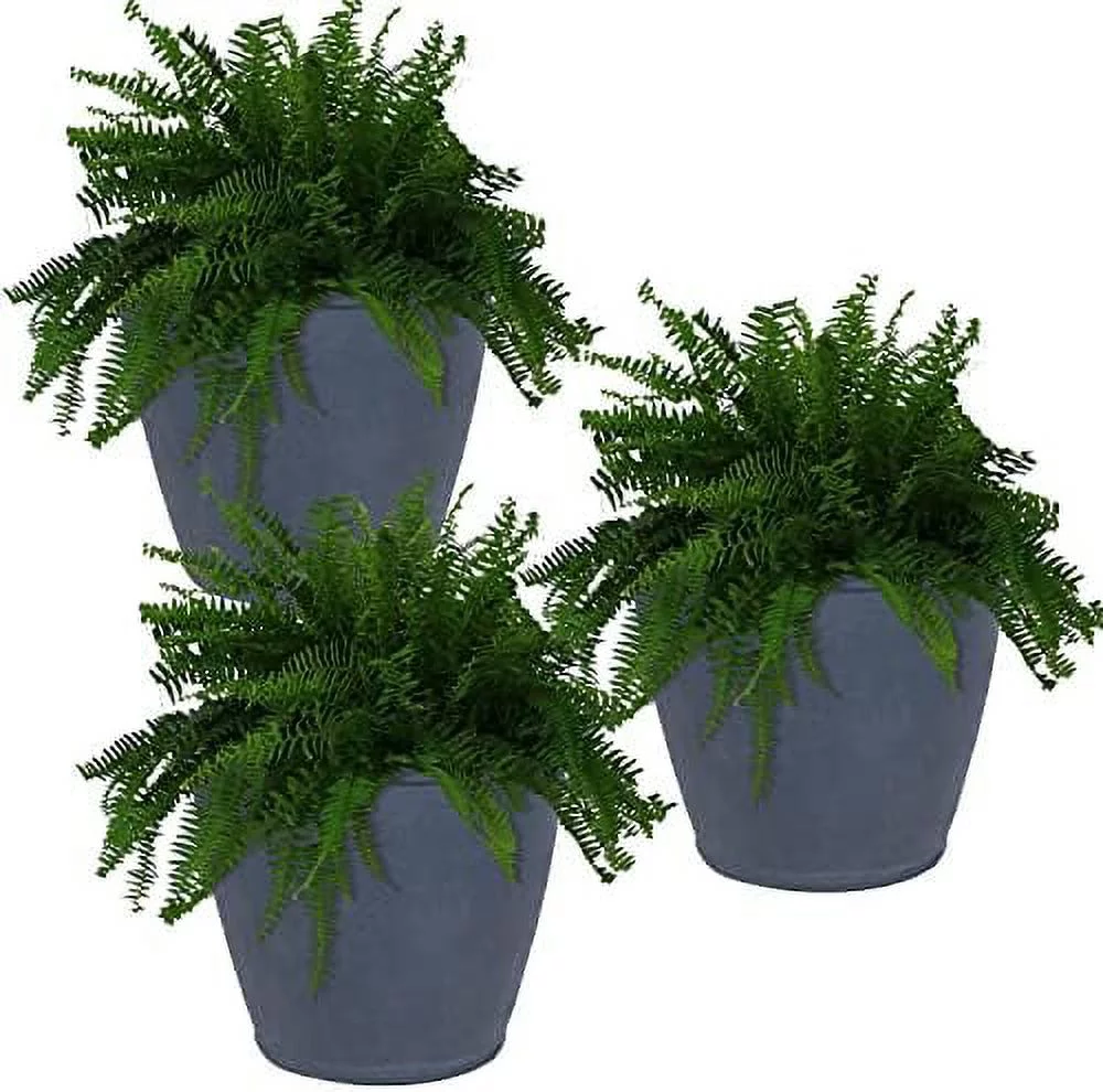 Anjelica 24-Inch Diameter Indoor/Outdoor Double-Walled Polyresin Planter With UV-Resistant Beige Finish