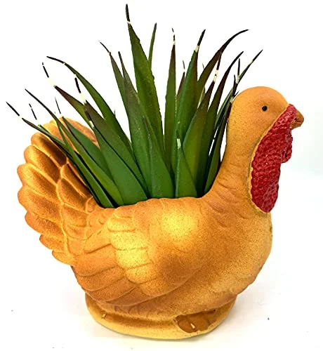 Turkey Succulant Planter Pot - Small Brown Small 4inch