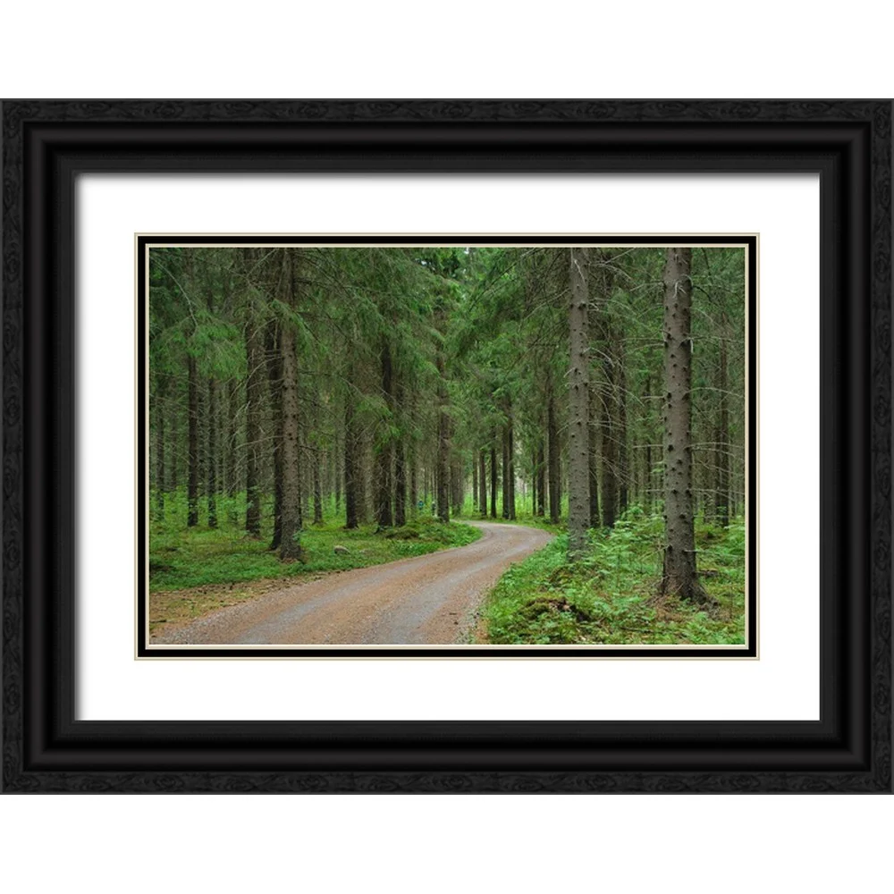 Molinari, Michele 24x17 Black Ornate Wood Framed with Double Matting Museum Art Print Titled - Finlandia-Savonlinna-dirt road in a spruce forest