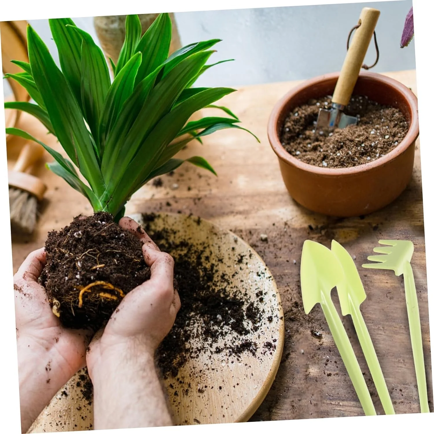 1 Set Gardening Three Piece Set Gifts Terrarium Kit Plant Care Kit The Gift Hand Rake Garden Tool Planting Trowel Root Trowel Mothers Day Gardening Child Mini Plastic Hoe