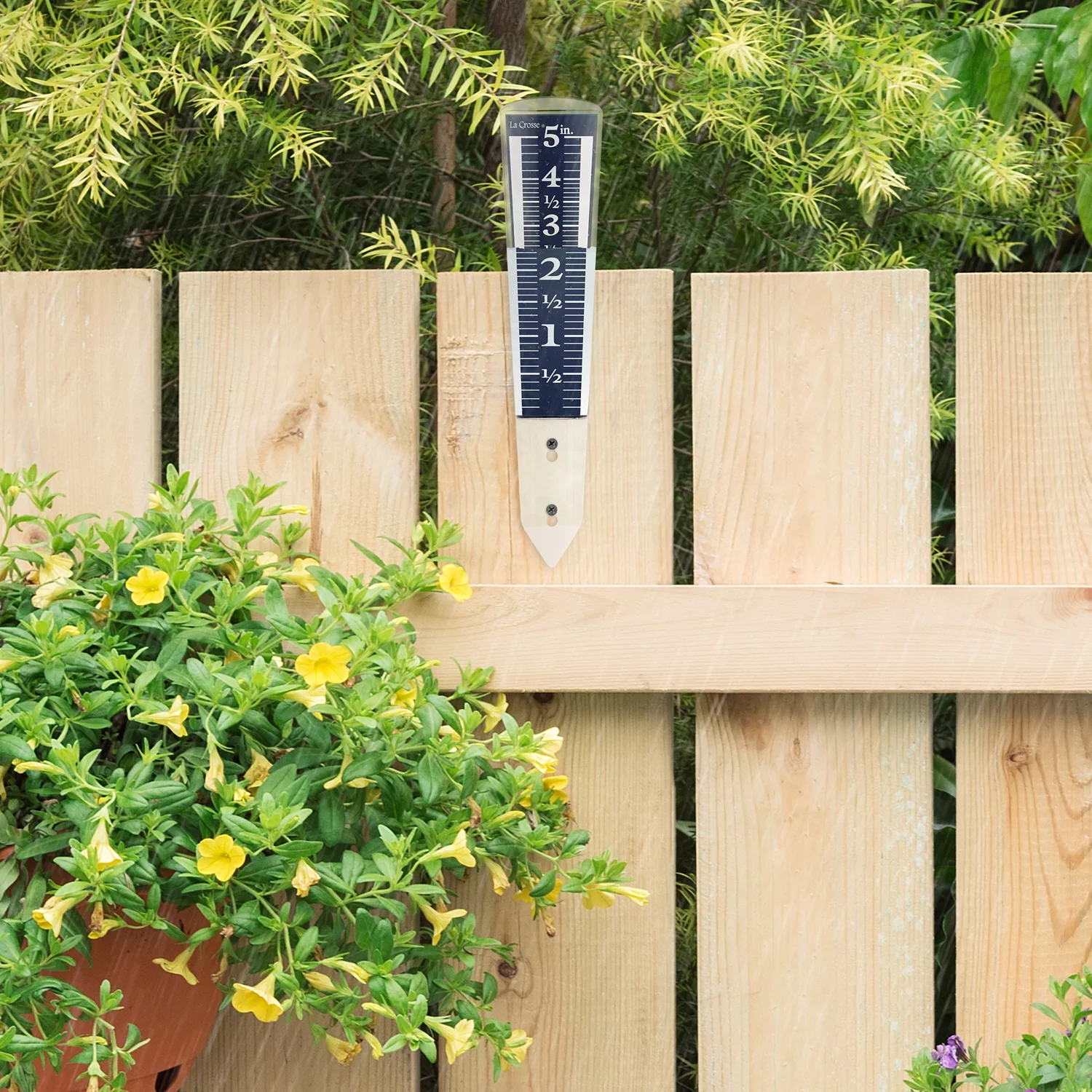 La Crosse 704-1531 Large Easy Read Magnifying Acrylic Rain Gauge