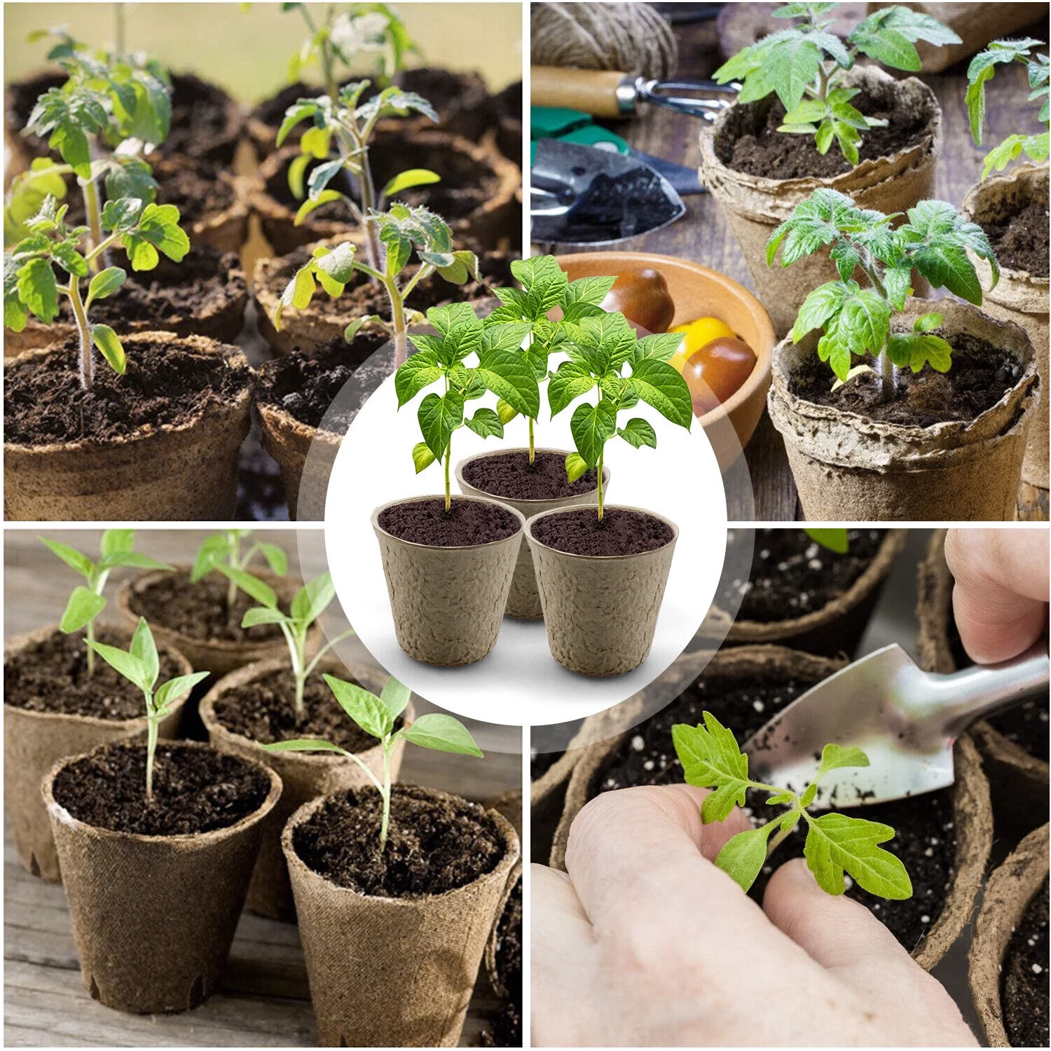 50-100PCS Biodegradable Nursery Pots Garden Plant Grow Seedling Planting Pots US