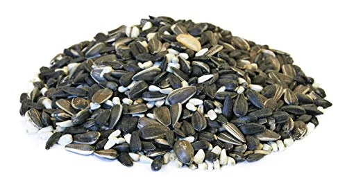 Backyard Seeds Cardinal Frenzy Black Oil Sunflower and Safflower Blended Bird Seed
