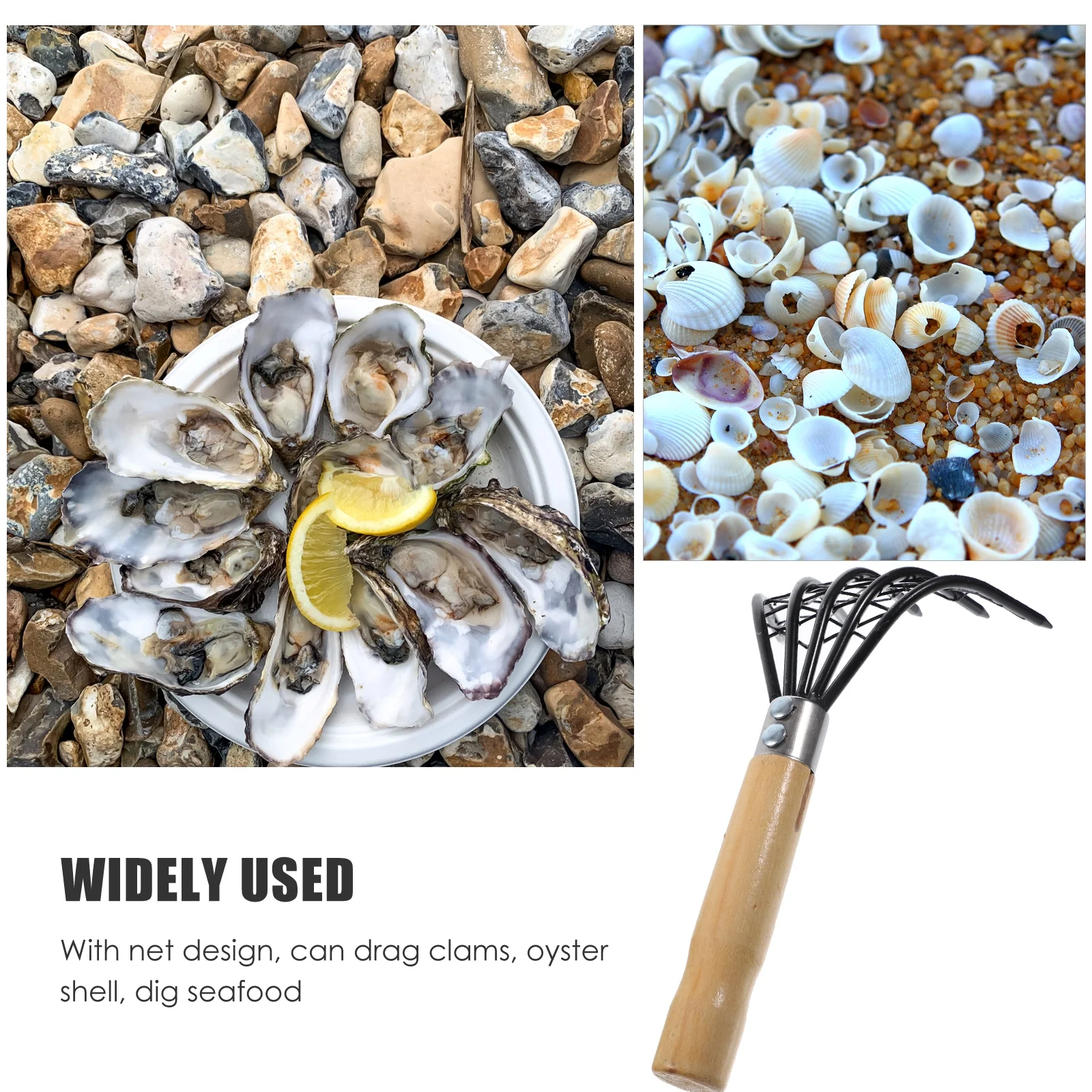 Scraper Tool Scallop Beach Rake Shellfish Lobster Multipurpose Seaside