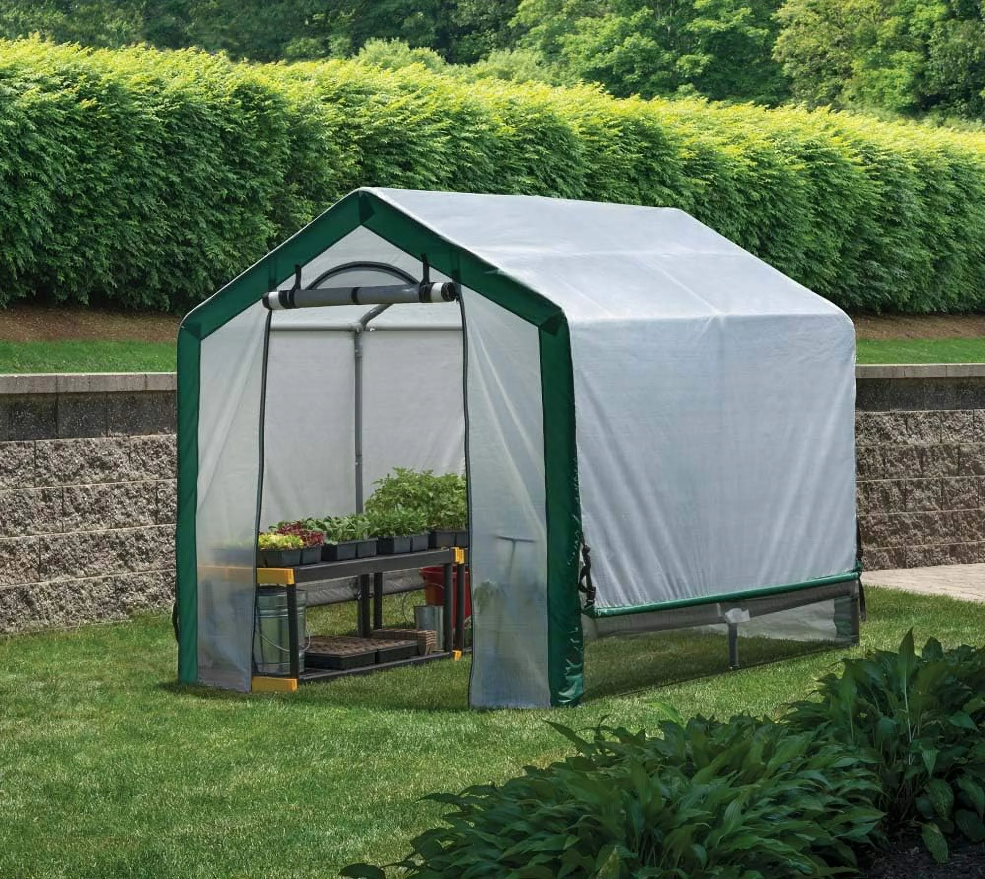 X 8' X 6.5' Outdoor Organic Growers Greenhouse And Backyard Grow House