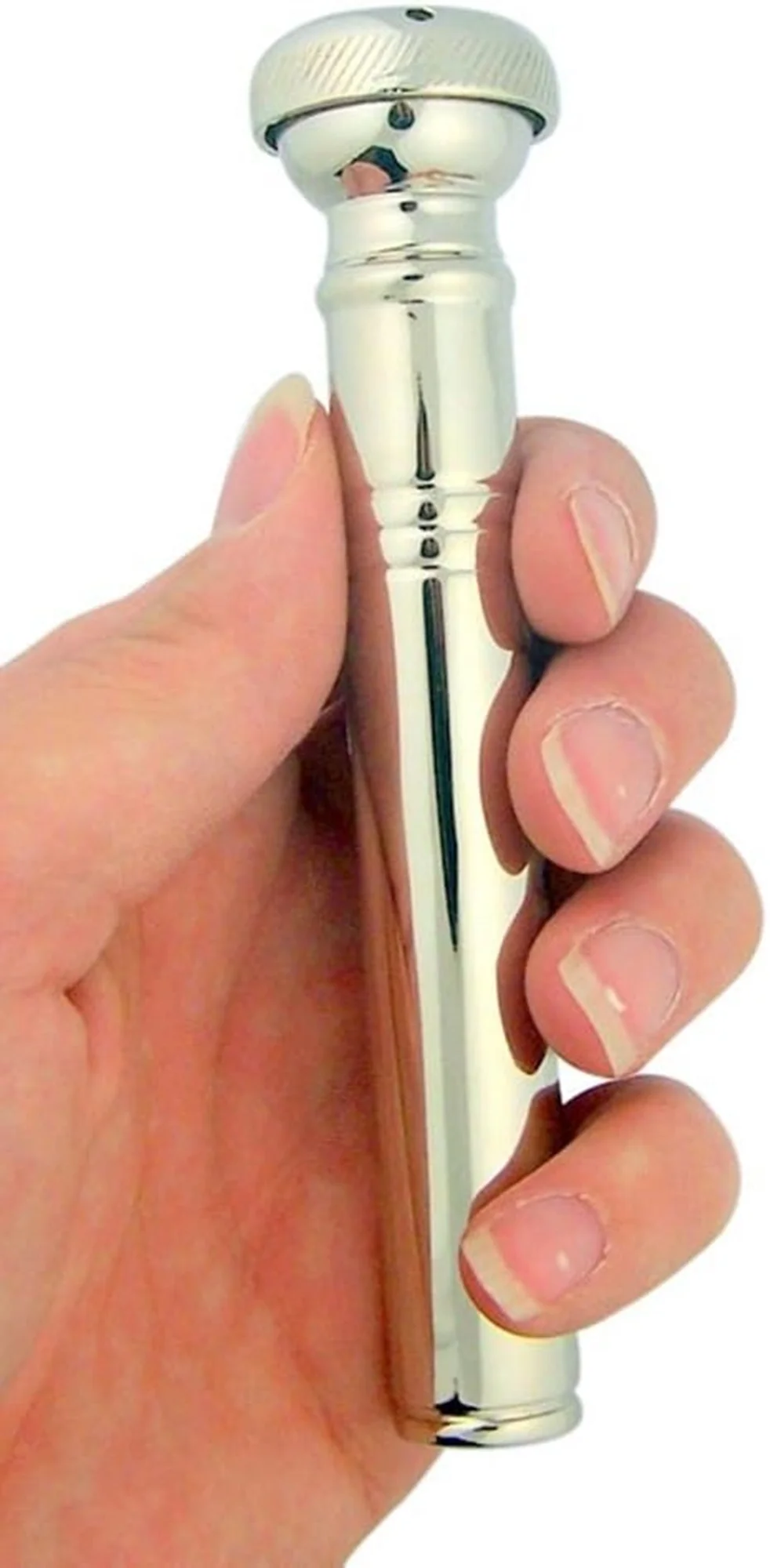 Nickel Plated Travel Pocket Holy Water Sprinkler in Vinyl Carrying Case, 4-2/3 Inch L