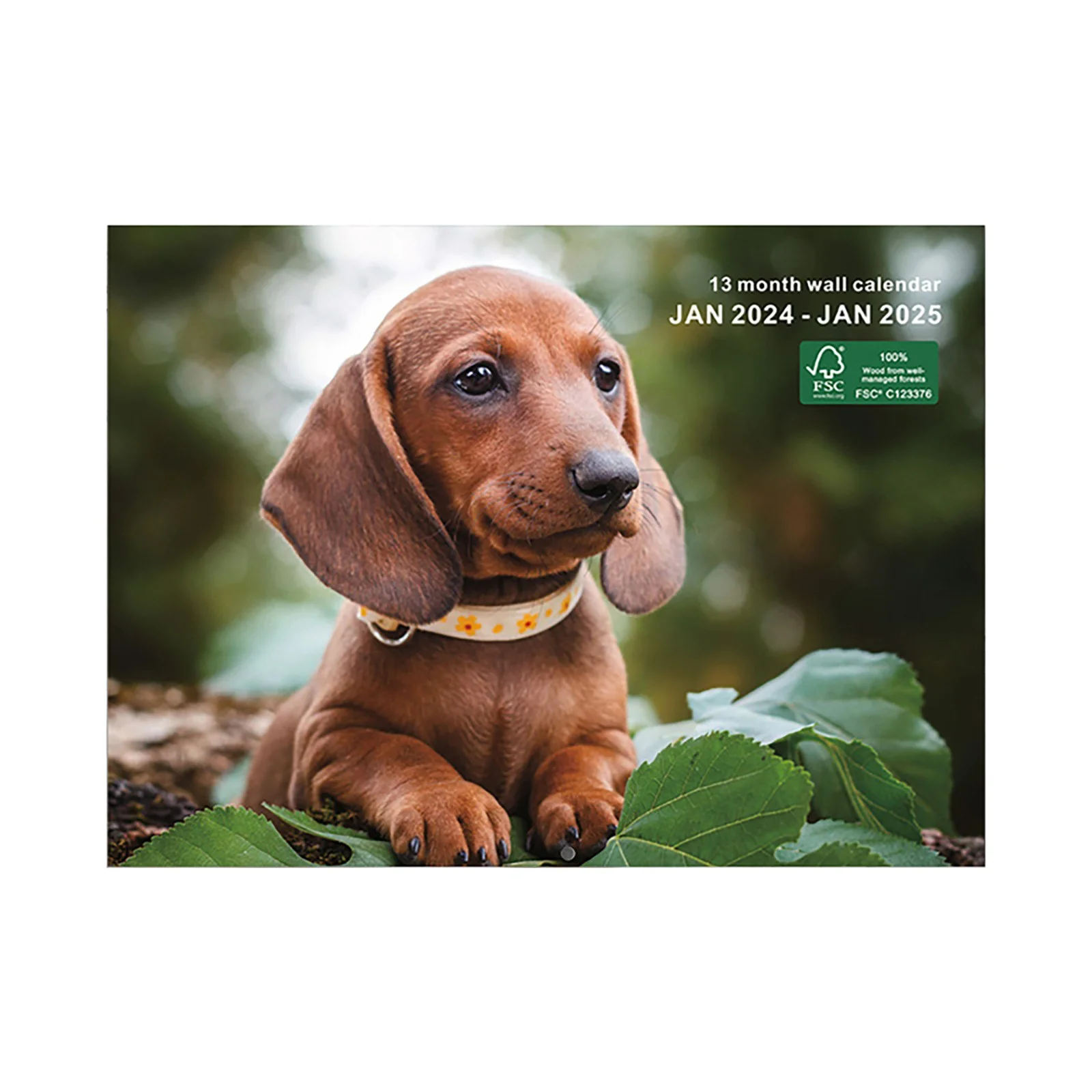 AaSEJEG Graduation Gifts Calendar 2024-2025 Book Monthly 2024 Wall Hanging Planner Cute Animal Style English Calendar forPlanning and Note Taking