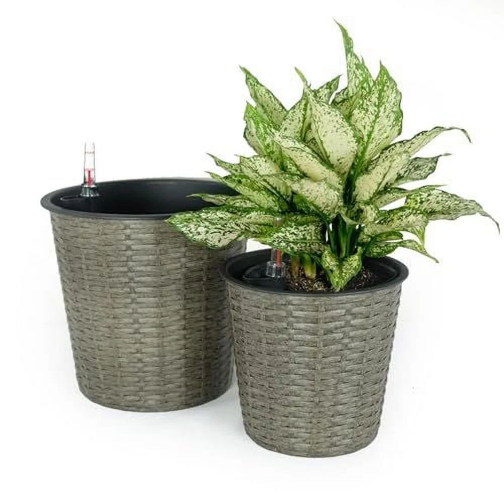 Eco-Friendly Self-Watering Wicker Planters, 2-Pack - 2-Pack - 6.44 - Elegantly nourish your plants with eco-friendly wicker planters!