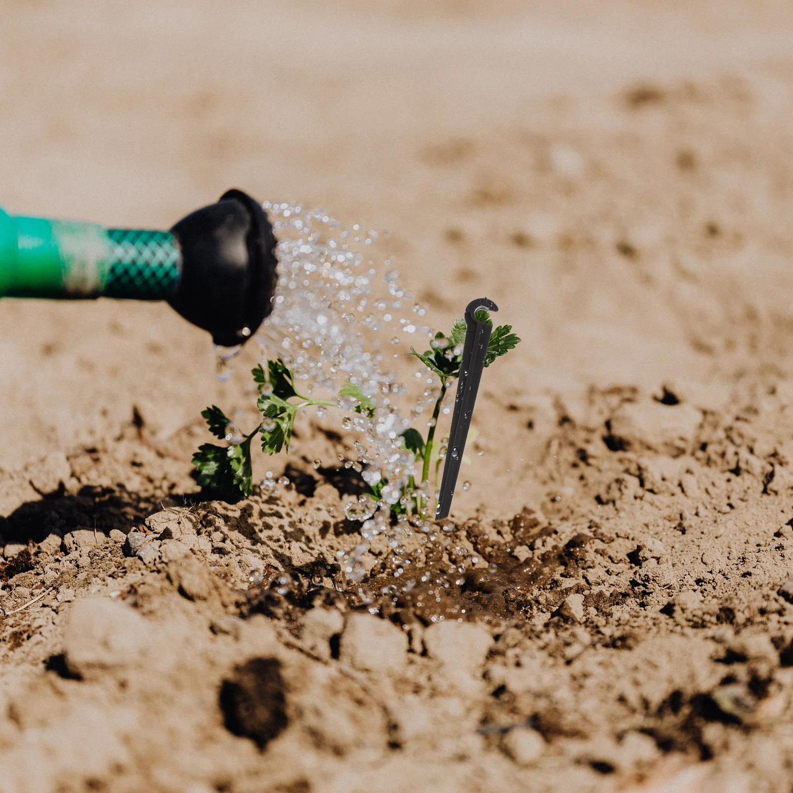 Gongxipen 200pcs Ground Stakes Drip Irrigation Fixed Rod Support Nails Stakes Fix Tools