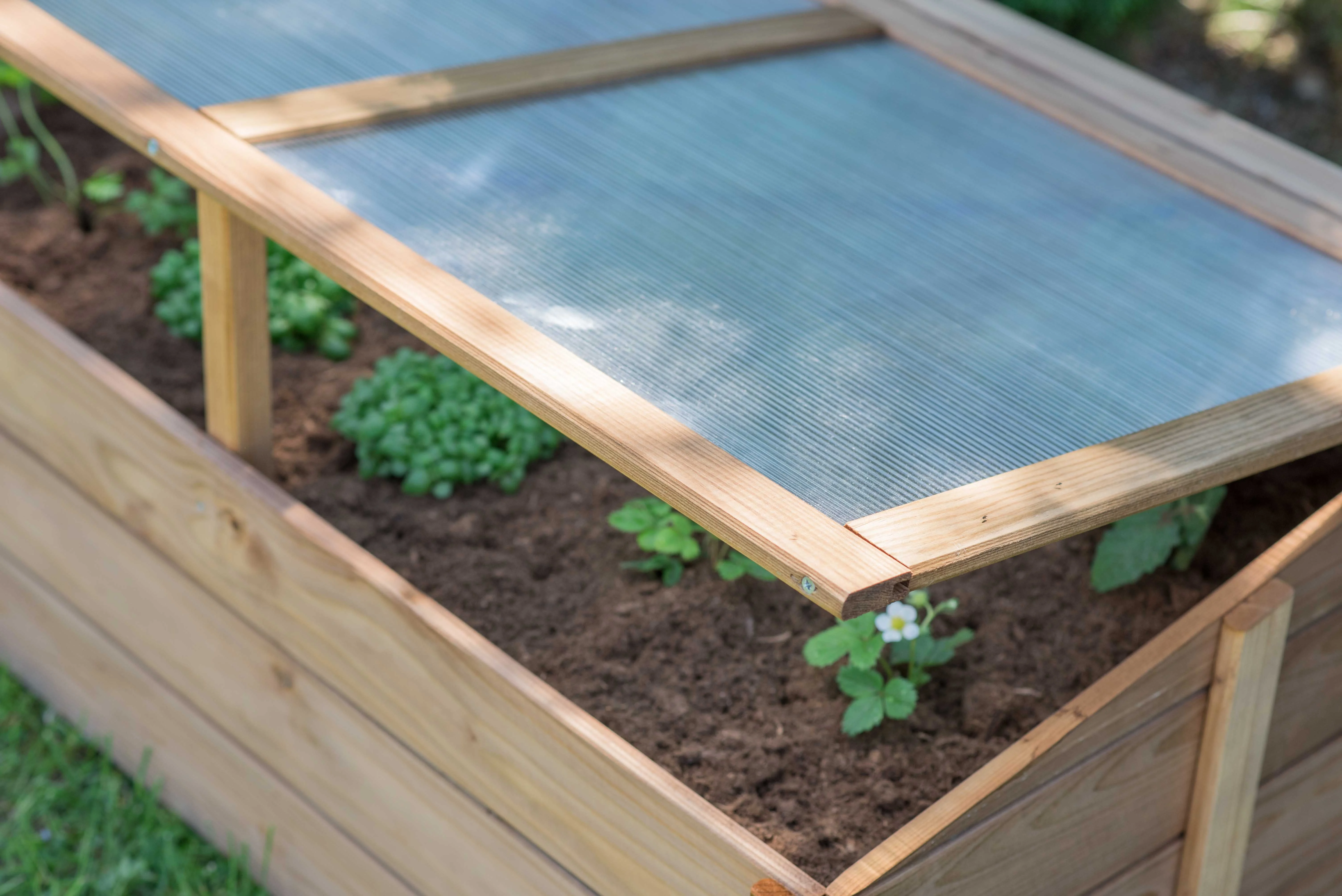 Tierra Garden Wooden Cold Frame 39.4