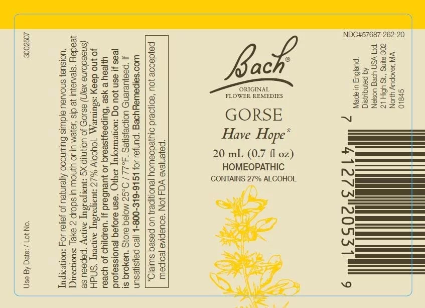 Bach Original Flower Remedies 6Pk x 20mL + Mixing Bottle: Know Your Mind, Yellow Essences