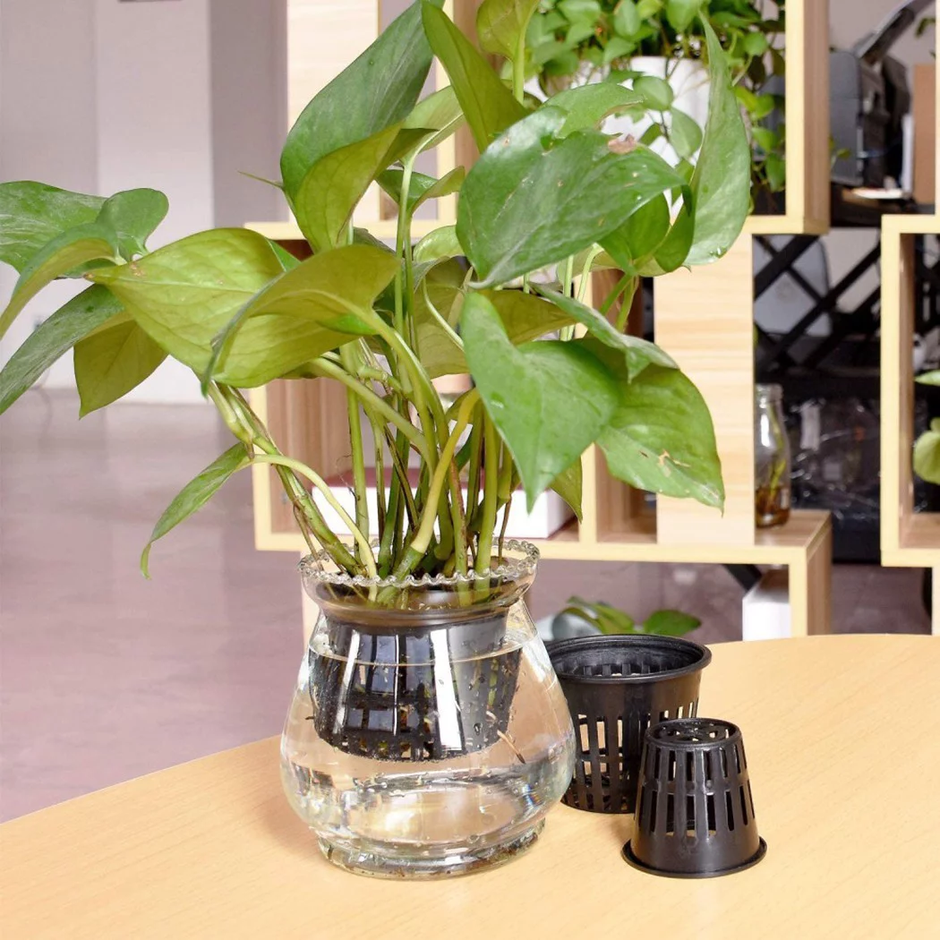 25 Pcs Hydroponic Pot Net Cup Hydroponic Containers Garden Plant Basket