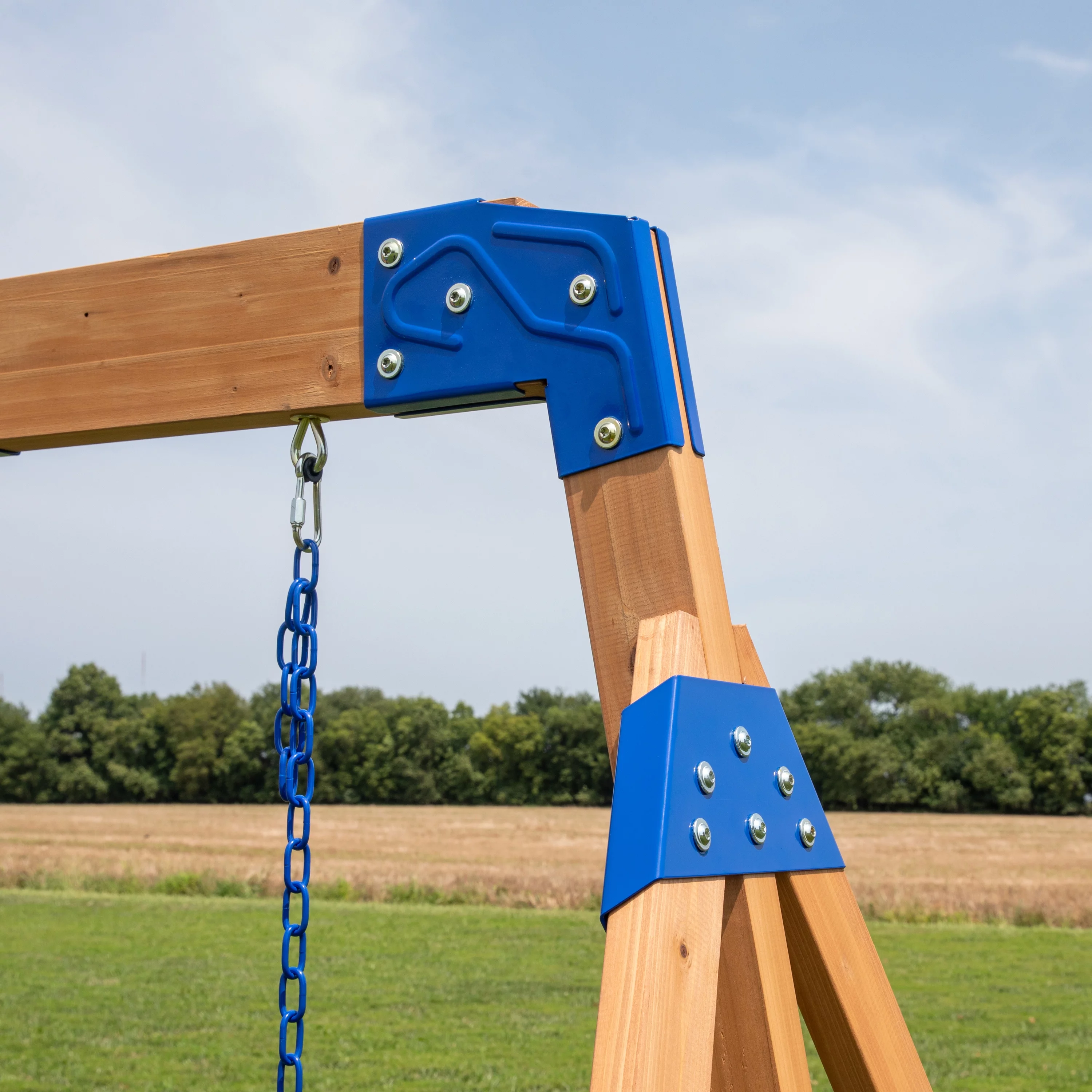 Backyard Discovery Briarcliff Swing Set