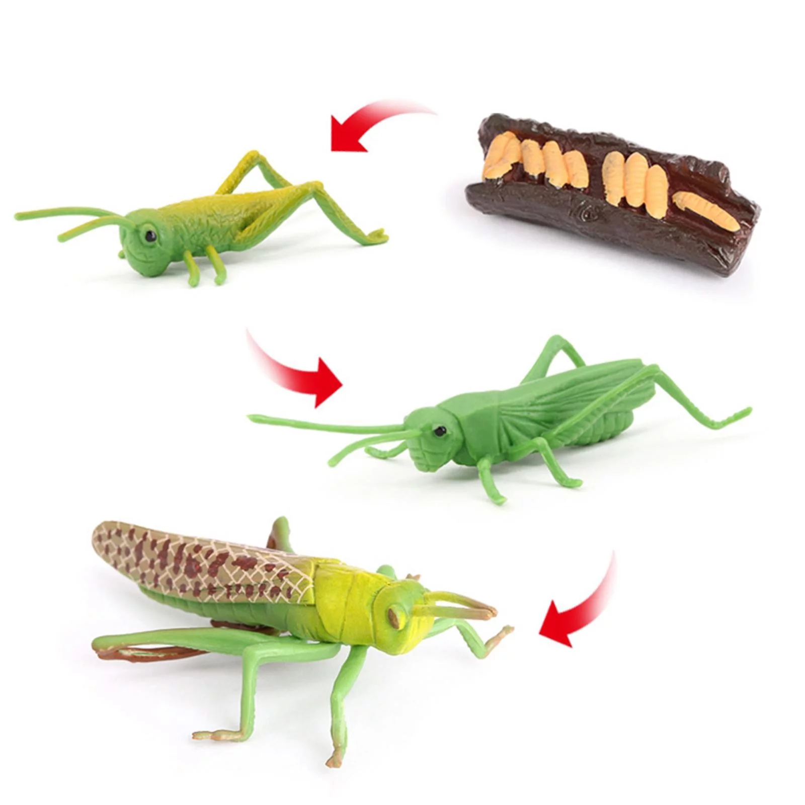 Grasshopper Growth Life Figures Playset Kids Pre- Imagination Toys Role Play Themed Party