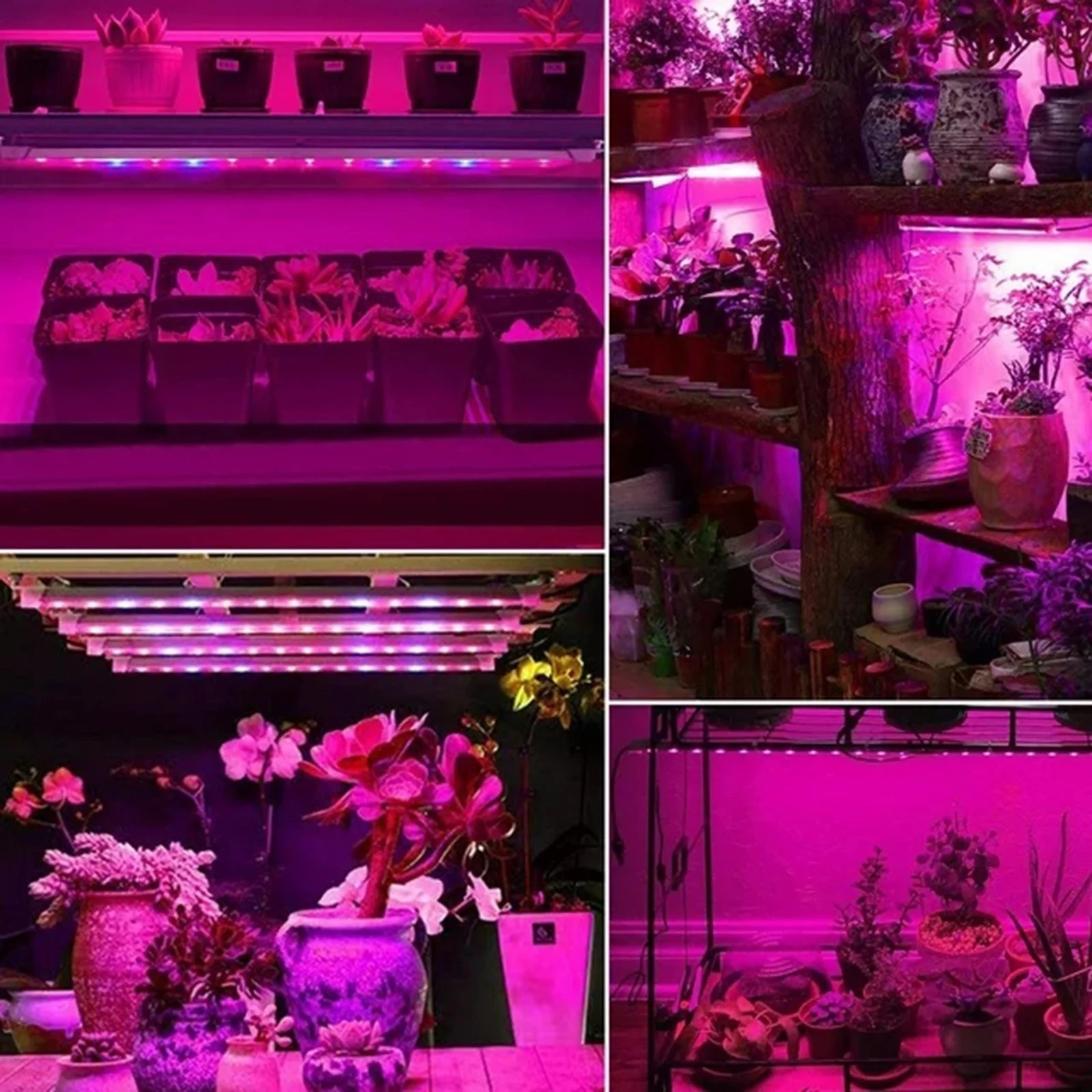 LED Grow Light Supplement Lamp USB Timer Intelligent Dimmable Sunlight Full Light