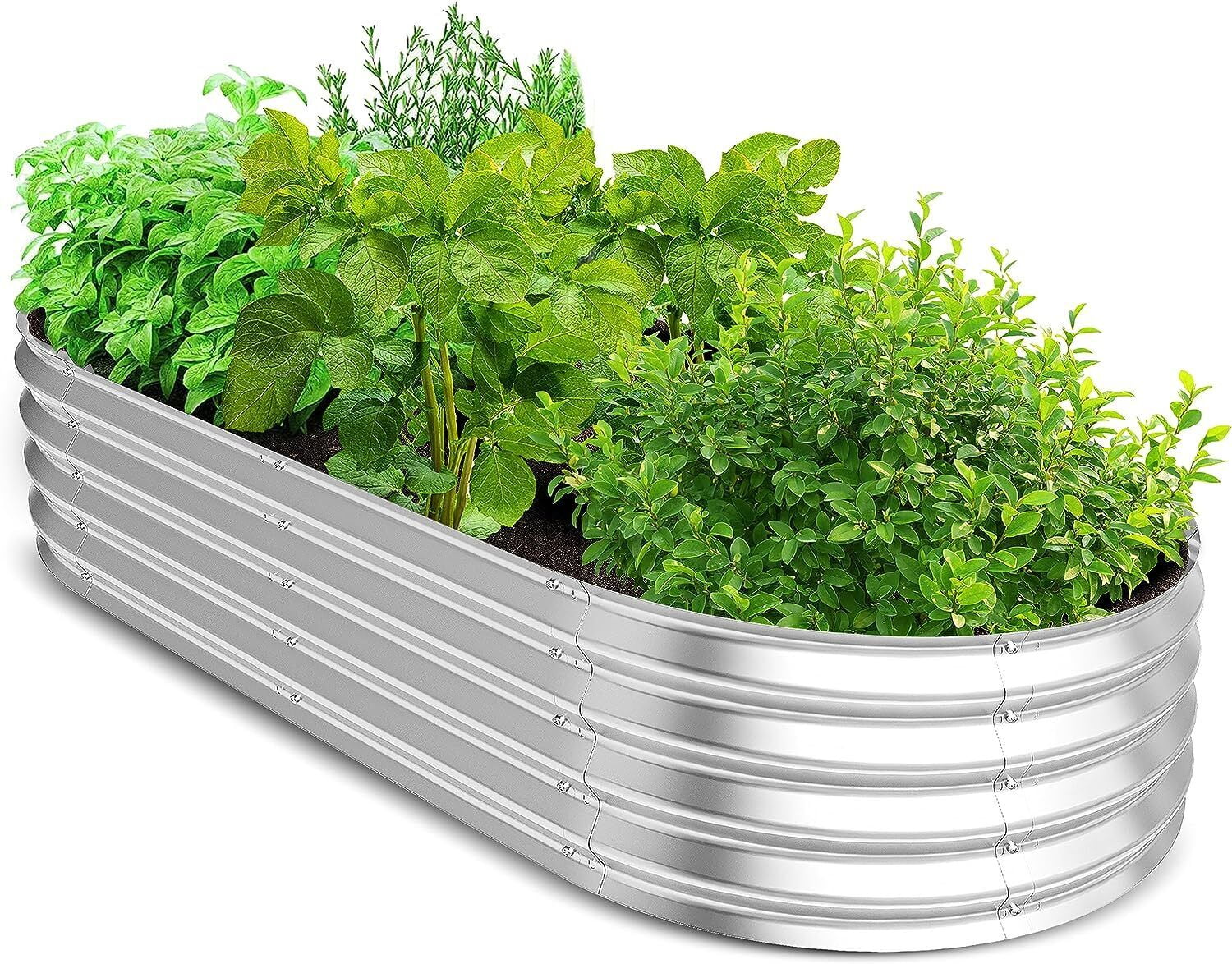 Planter Boxes Galvanized Raised Garden Bed Outdoor for Vegetables