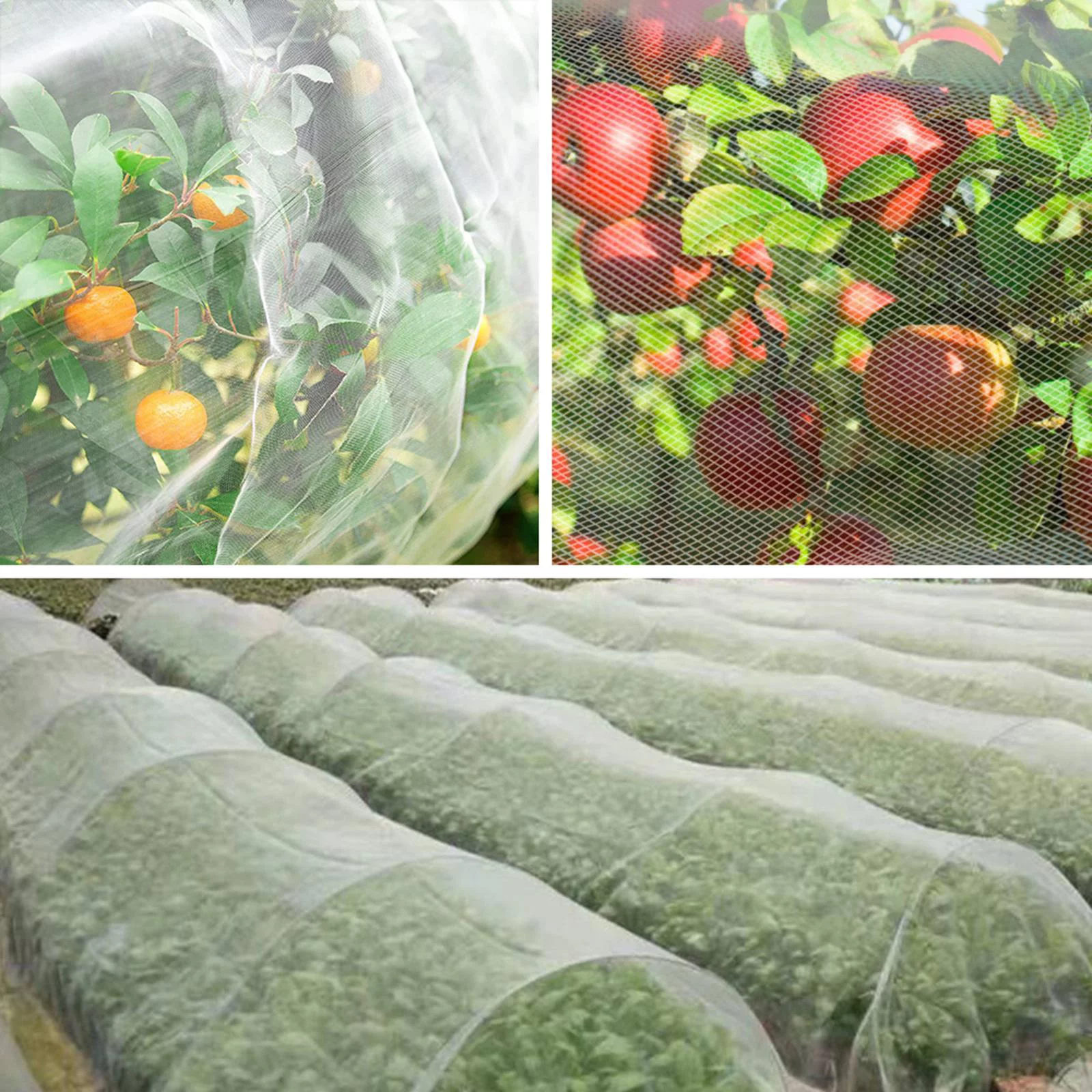 Garden Mesh Collapsible Reusable Barrier Breathable for Farmhouse Greenhouse 2.5X3M