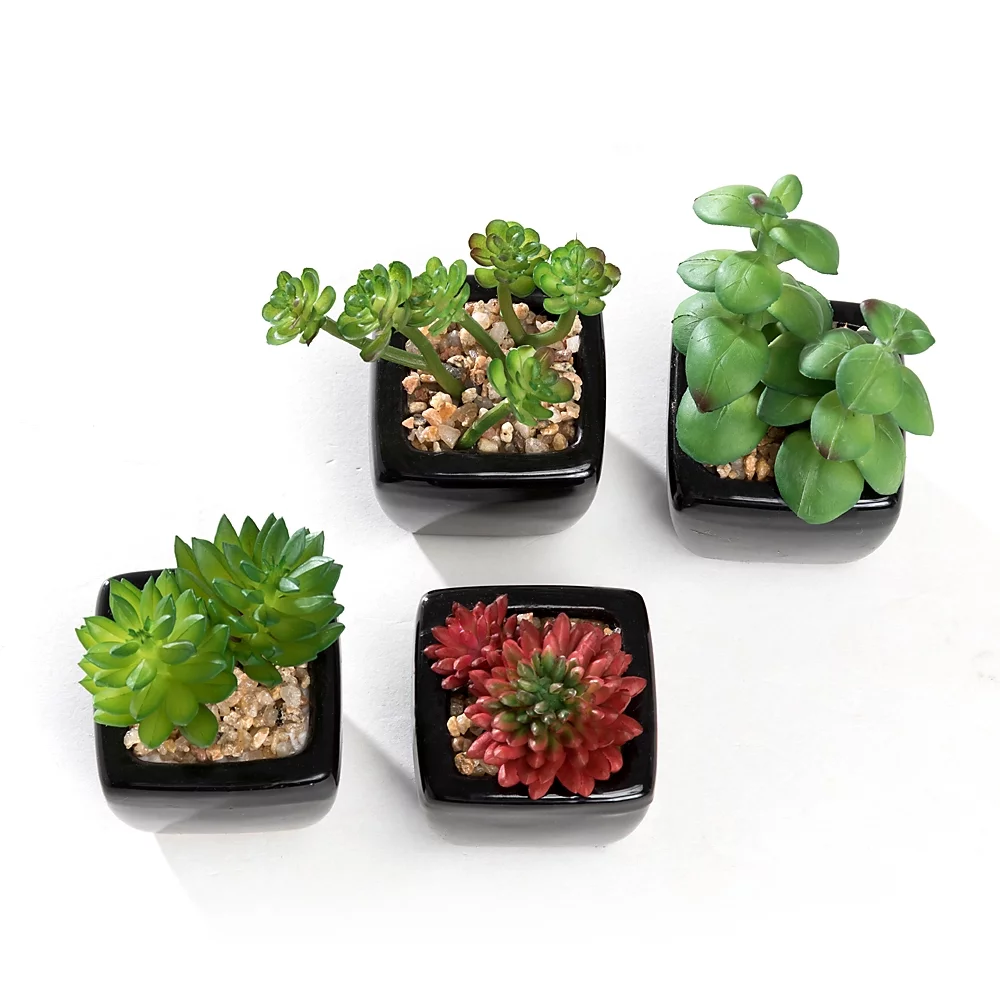 K-Cliffs Set of 4 Mini Artificial Succulent Plants Potted in Cube-Shape Black Ceramic Pot