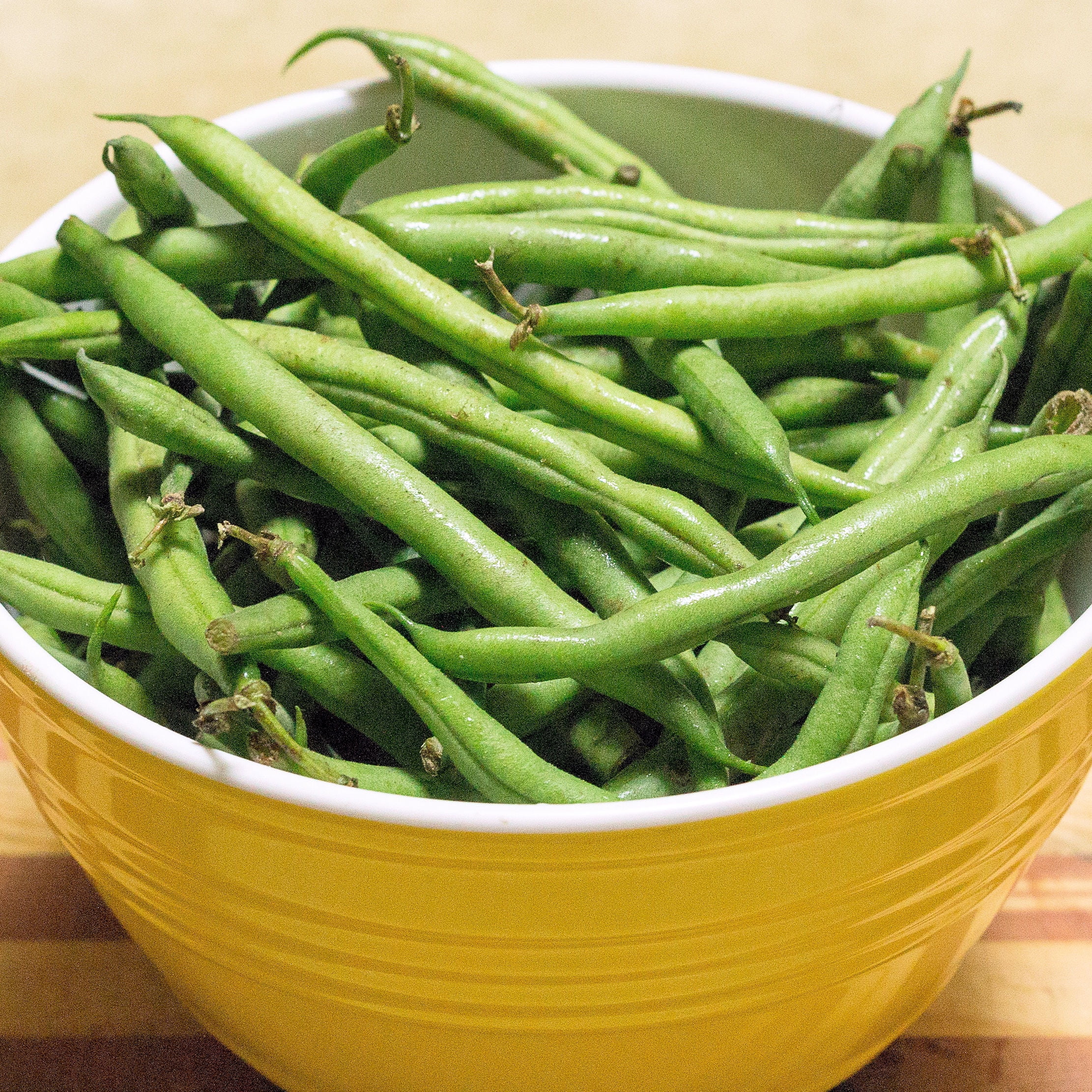 Kentucky Dreamer Bush Bean -100 Seeds High Yields Tasty Fresh or Frozen- Nice slender pods