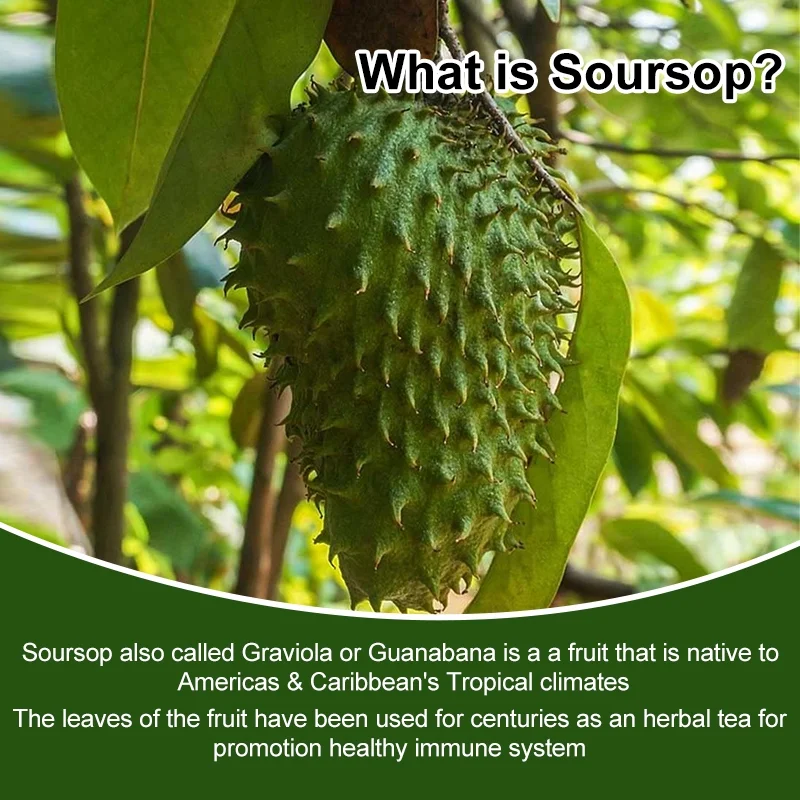 Soursop Graviola Leaves - 1000mg 120 Caspules - Non-GMO, Gluten Free - Herbal Supplement