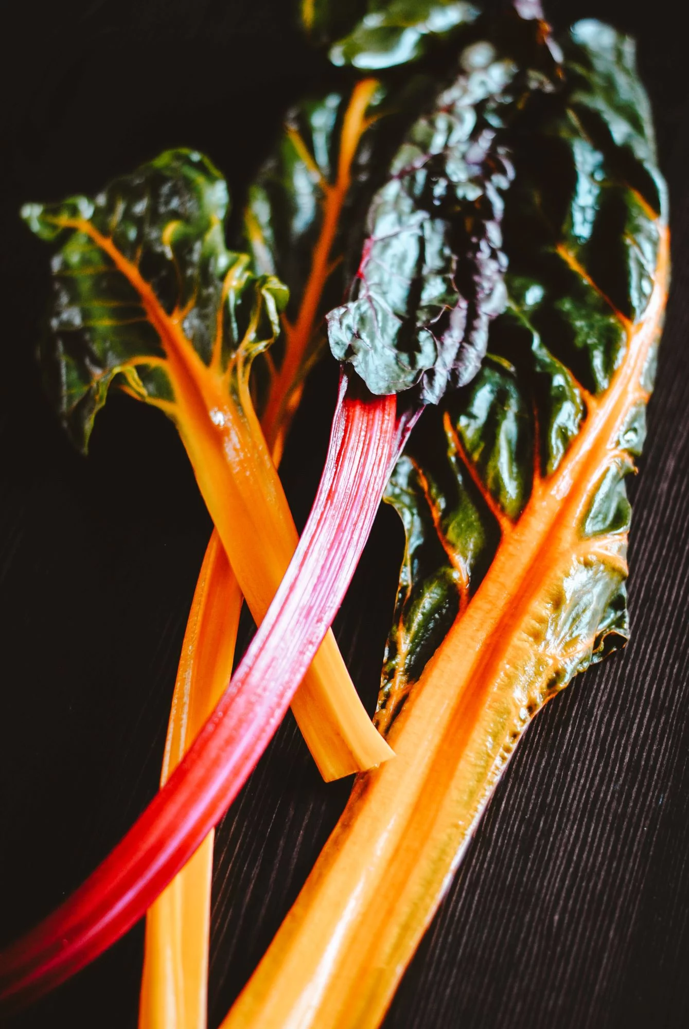 Rainbow Chard Swiss Seeds/ Biennial/ Full Sun/ 27K Seeds 1lb/ Zellajake Farm and Garden - B166