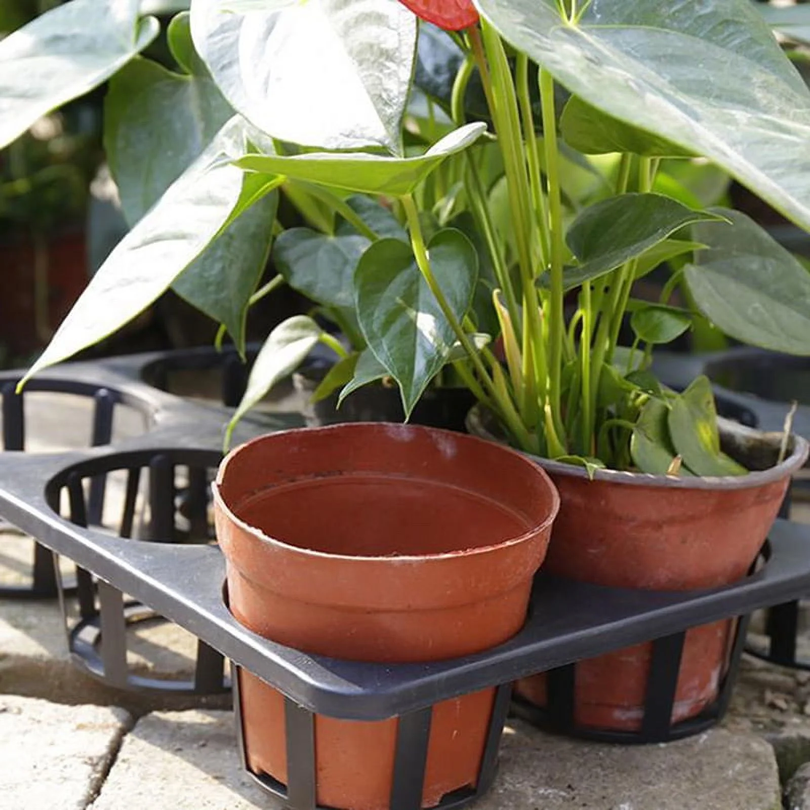 Planter Nursery Pots Plastic Round Flower Pot Cell Seedling Starter Tray Seed