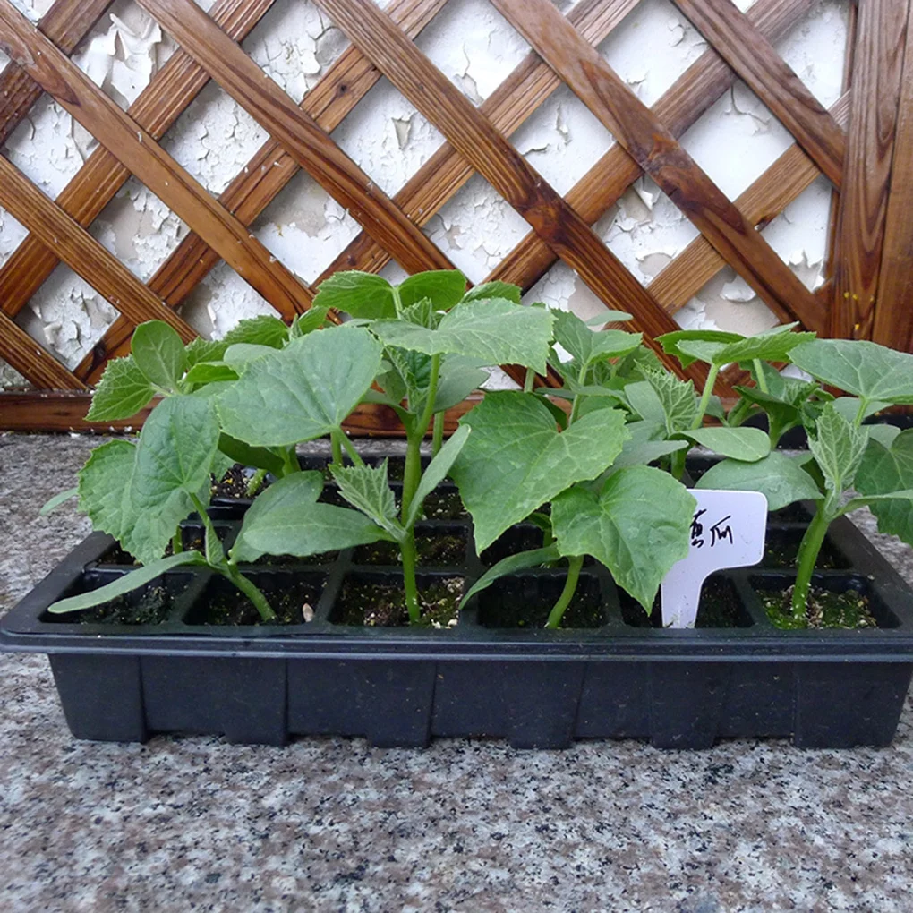 3 Pcs/Set 24-Hole Seedling Tray Plant Nursery Pot Air Holes Seeding Box Gardening Supplies