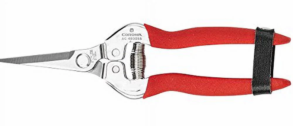 AG 4930SS Stainless Steel Straight Pruning - Quantity 44