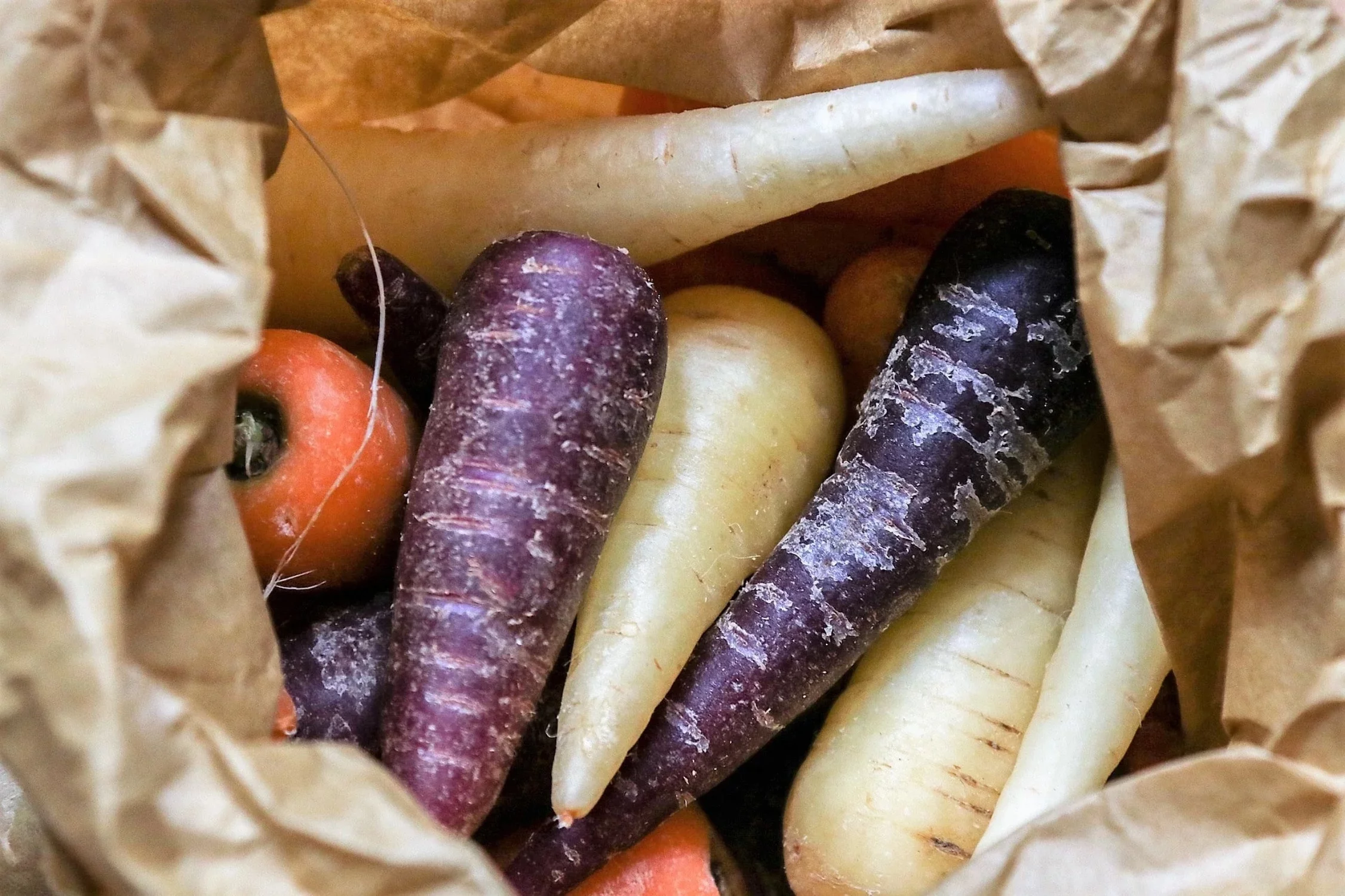 300 BLACK NEBULA CARROT Daucus Carota Root Vegetable Seeds