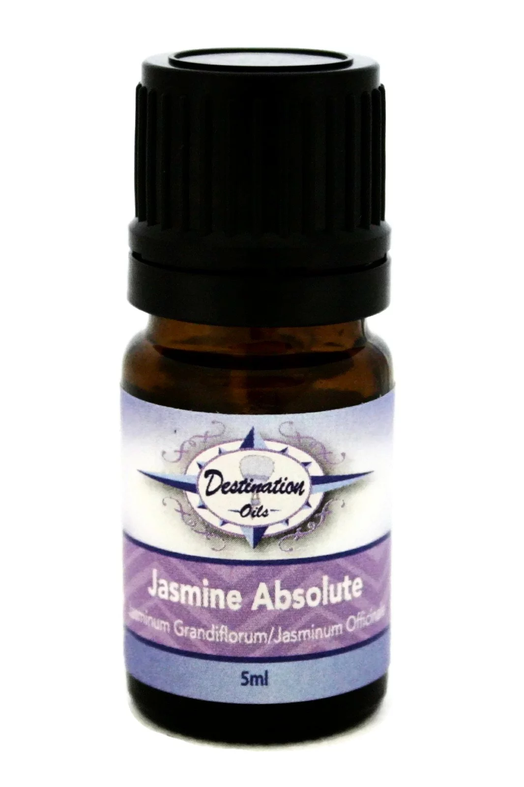 Jasmine Absolute Essential Oil ~ 5ml ~ 50/50