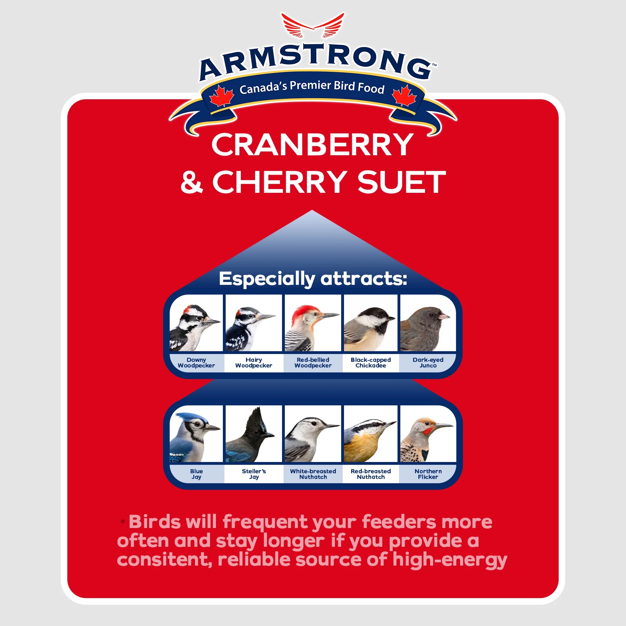 Armstrong Wild Bird Food Cranberry and Cherry Suet Blend, 11.3oz