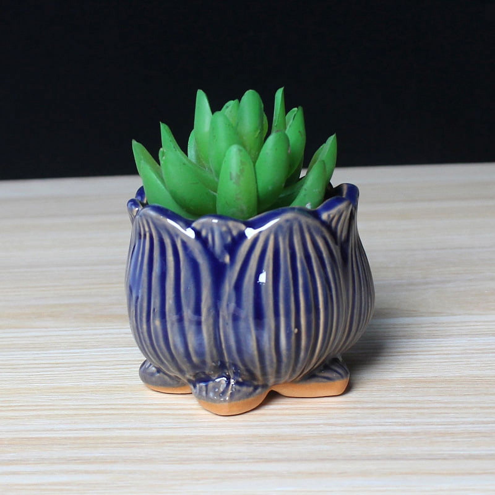 LivNxt Ceramic Succulent Planter - Breathable Coarse Pottery Garden Pot with Drainage Holes