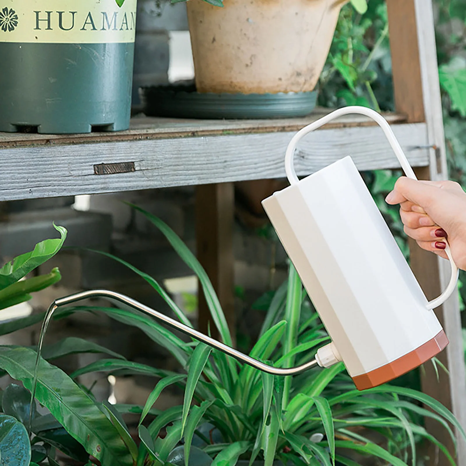 Induction Heater Gardening Greenery Sprinkler Flower Pot Watering Can Long Spout Stainless Steel Curved Spout