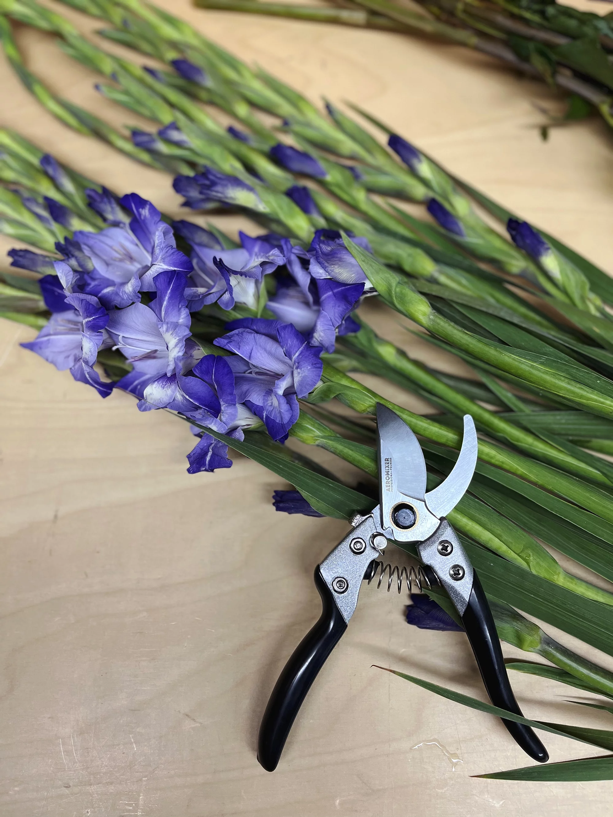 Aeromixer's Professional Pruners