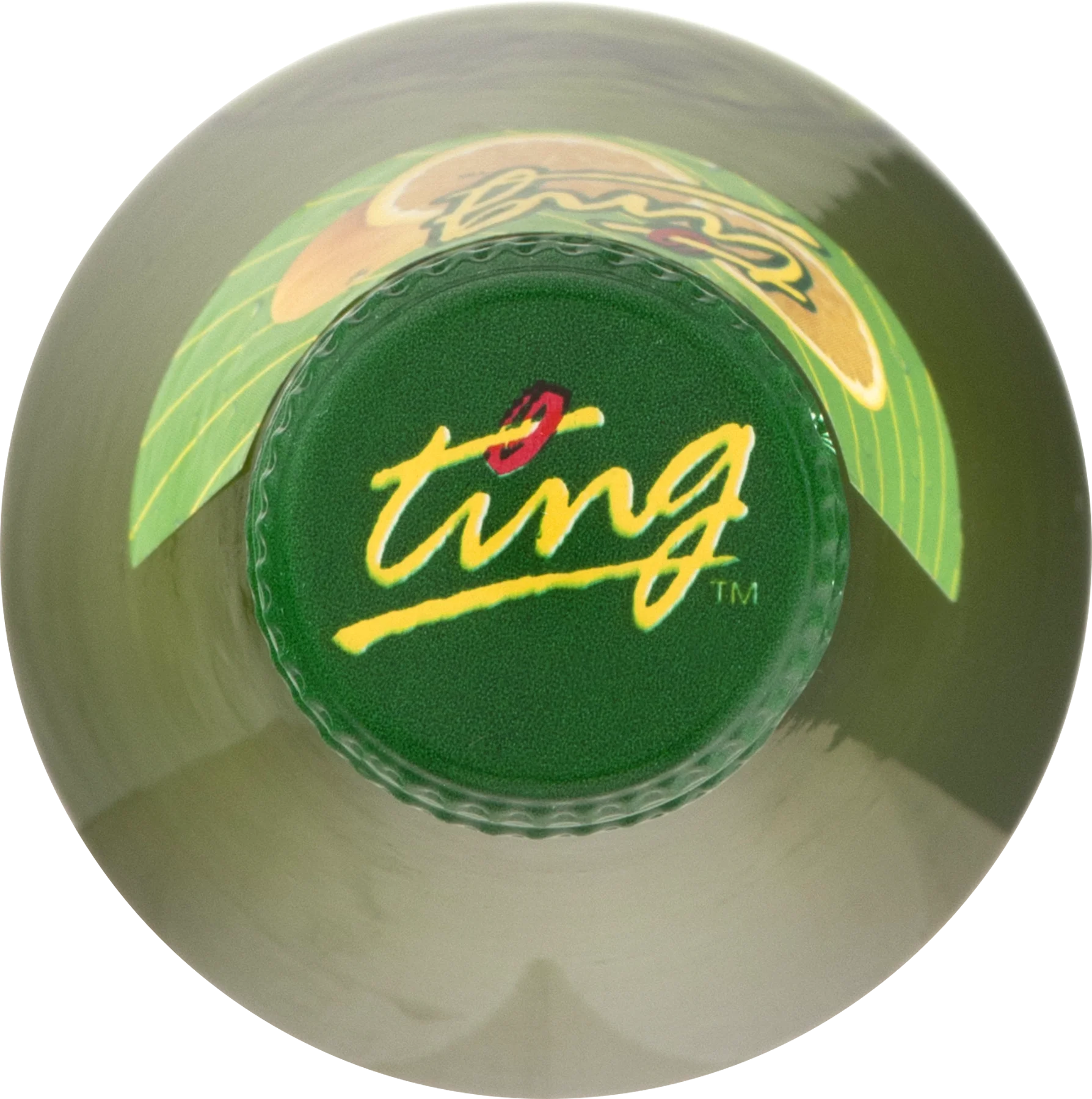D&G Ting Carbonated Grapefruit Beverage, 9.6 oz