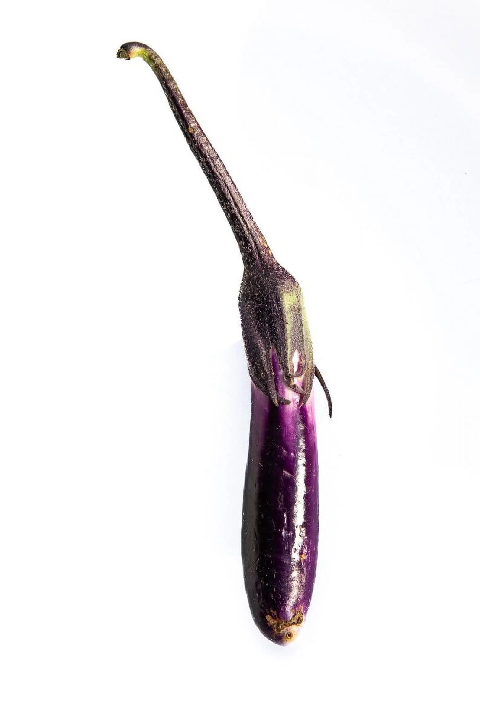Pingtung Eggplant Purple Asian Long Premium Seed Packet