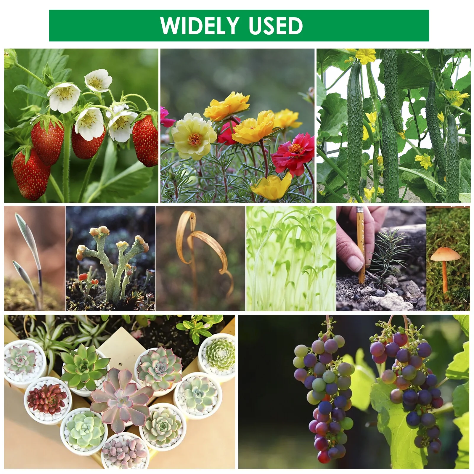 Handheld Soil Blocker 2-Inch Soil Block Maker Soil Blocking Tool with Dibbles Dibbers for Garden Cultivate seedlings and cultivate soil