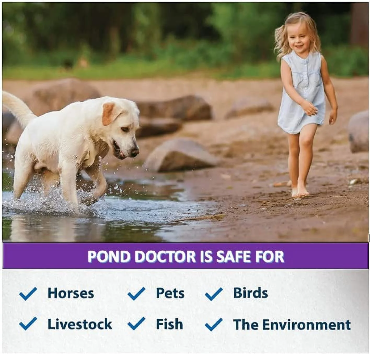 Pond & Aquarium Potassium Permanganate Solution/Clarifier/KOI Fish and Plants Safe/Same Day Ship / 128 OZ / 1 GAL