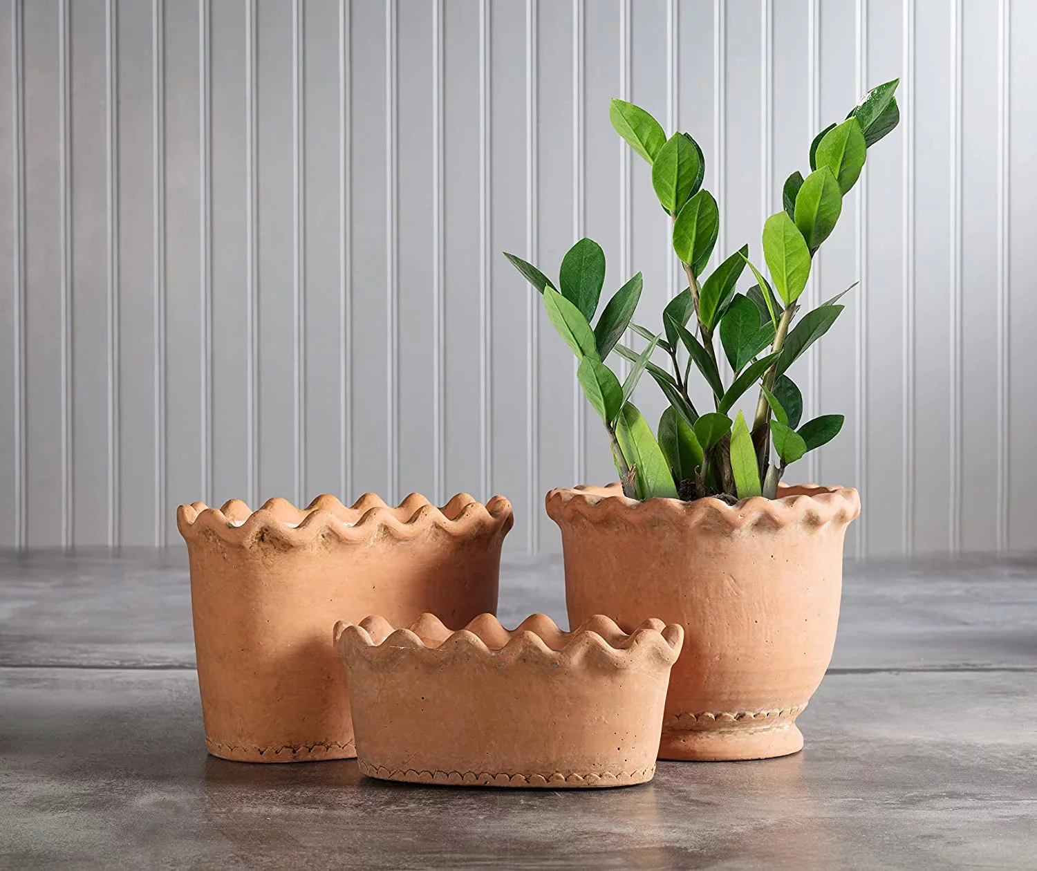 Tall Ruffled Oval Planter