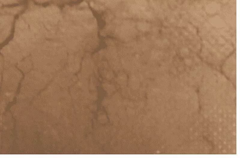 Red Cedarwood Powder, 1 Ounce Bag, Natural Wood Incense