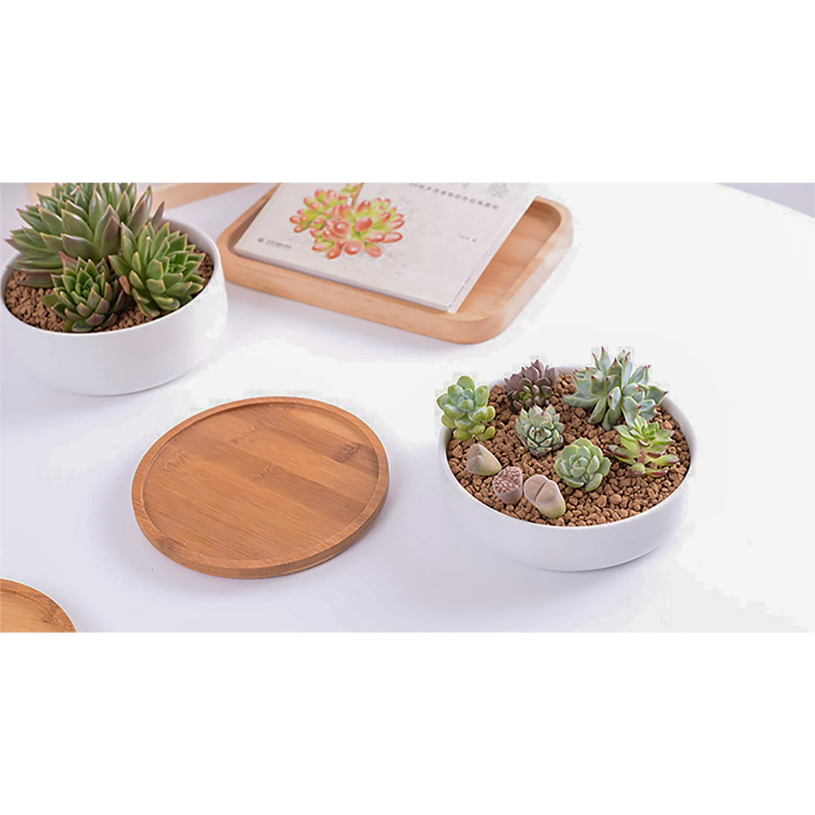 BELUPAI Environmentally Friendly Round Succulent Ceramic Flower Pot Bamboo Tray Creative Tabletop Tea Set Coaster