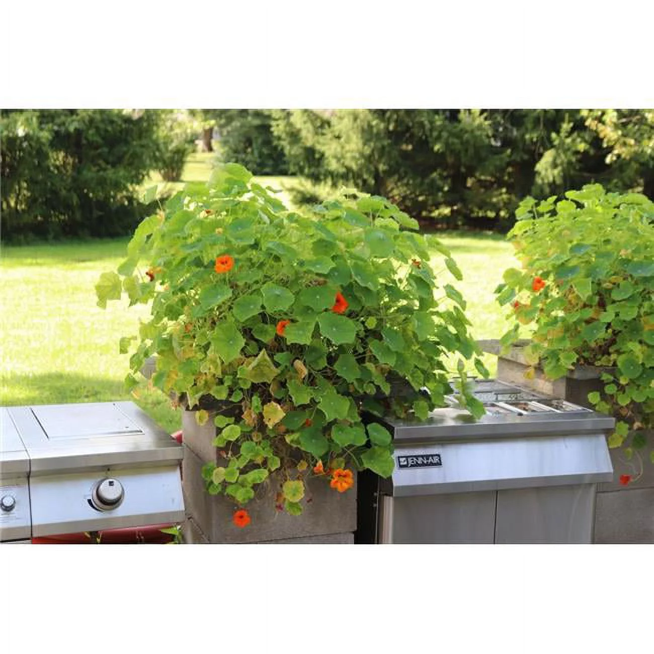 Torpedopot  16 in. Planter Starter Kit