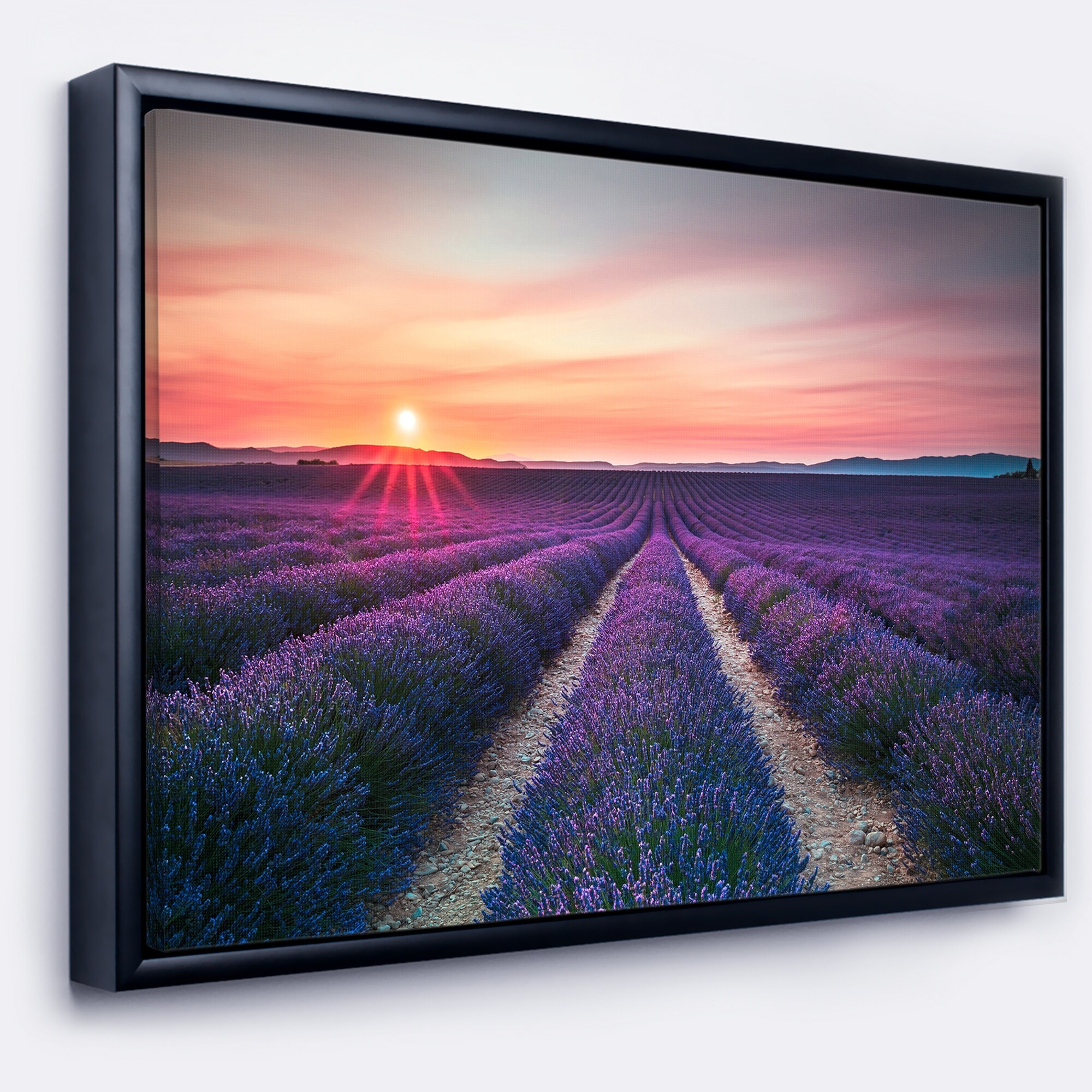 DESIGN ART Designart 'Endless Rows of Lavender Flowers' Modern Landscape Wall Art Framed Canvas