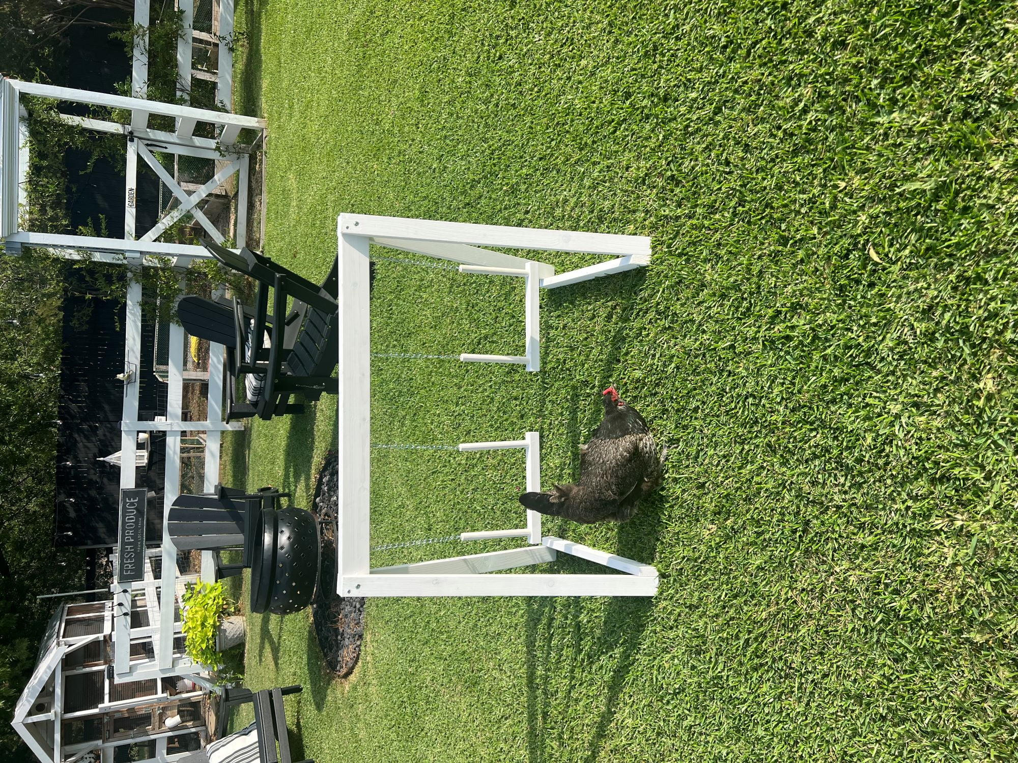 Zylina Play-N-Roost Double Swing